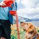 thumbnail image 4 of Multifunction Small Pet Dog Leash Rope for Big Dog collar with Built-in Water Bottle Bowl Waste Bag Dispenser dog accessories, 4 of 4