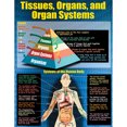 thumbnail image 5 of McDonald Publishing Living Organisms Posters, Set of 4, 5 of 6