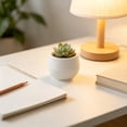 thumbnail image 6 of Mini Flower Pot, Small Round Plastic Planter Ribbed Nursery Pot Decorative Succulent Container, Cactus Herb Bonsai Desktop Planter for Home Office Windowsill Garden Decoration, 6 of 6