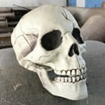 thumbnail image 3 of Creepy Plastic Open Mouth Skull Skeleton Haunted House Decor Halloween Prop White One Size, 3 of 8