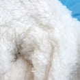 thumbnail image 4 of Fiudx Abrigo de Invierno para Perro, Chaqueta Acolchada con Forro Polar, Diseño Reflectante de Seguridad, Mantiene Abrigado a Tu Mascota, Interior Cómodo y Suave, Ideal para Actividades Al Aire Libre, 4 of 7