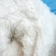 thumbnail image 4 of ¡Grandes ahorros para las fiestas! Chaqueta de invierno y otoño para perro, impermeable, con forro polar, cálida, ropa para perro. Regalos geniales a precios reducidos en liquidación., 4 of 7