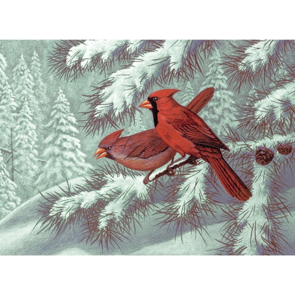 Royal Brush Adult Painting by Numbers Kit, Cardinals