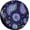 Neon Purple Paisley, variant on Elegant Wildflowers Spare Tire Cover for Trailer RV SUV Truck-Retro Cute Wheel Tire Covers Waterproof Universal Fit Camper Accessories Outdoor,for tire Diameter 23-26 inch,14 inch