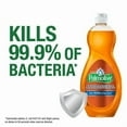 thumbnail image 4 of Palmolive Ultra Liquid Dish Soap, Orange Citrus Scent, 591mL, 4 of 5