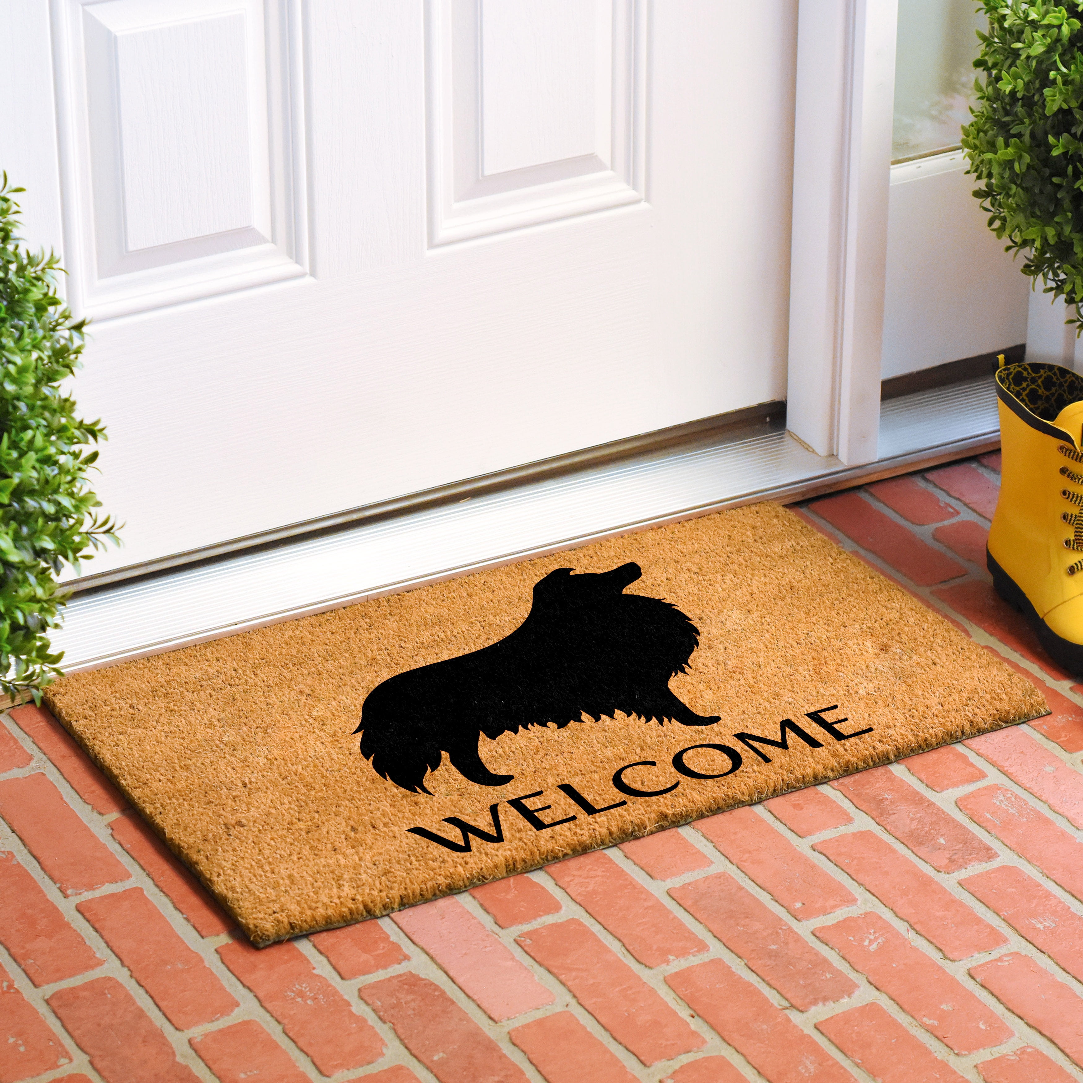 Calloway Mills 106911729 Collie Doormat 17" x 29"