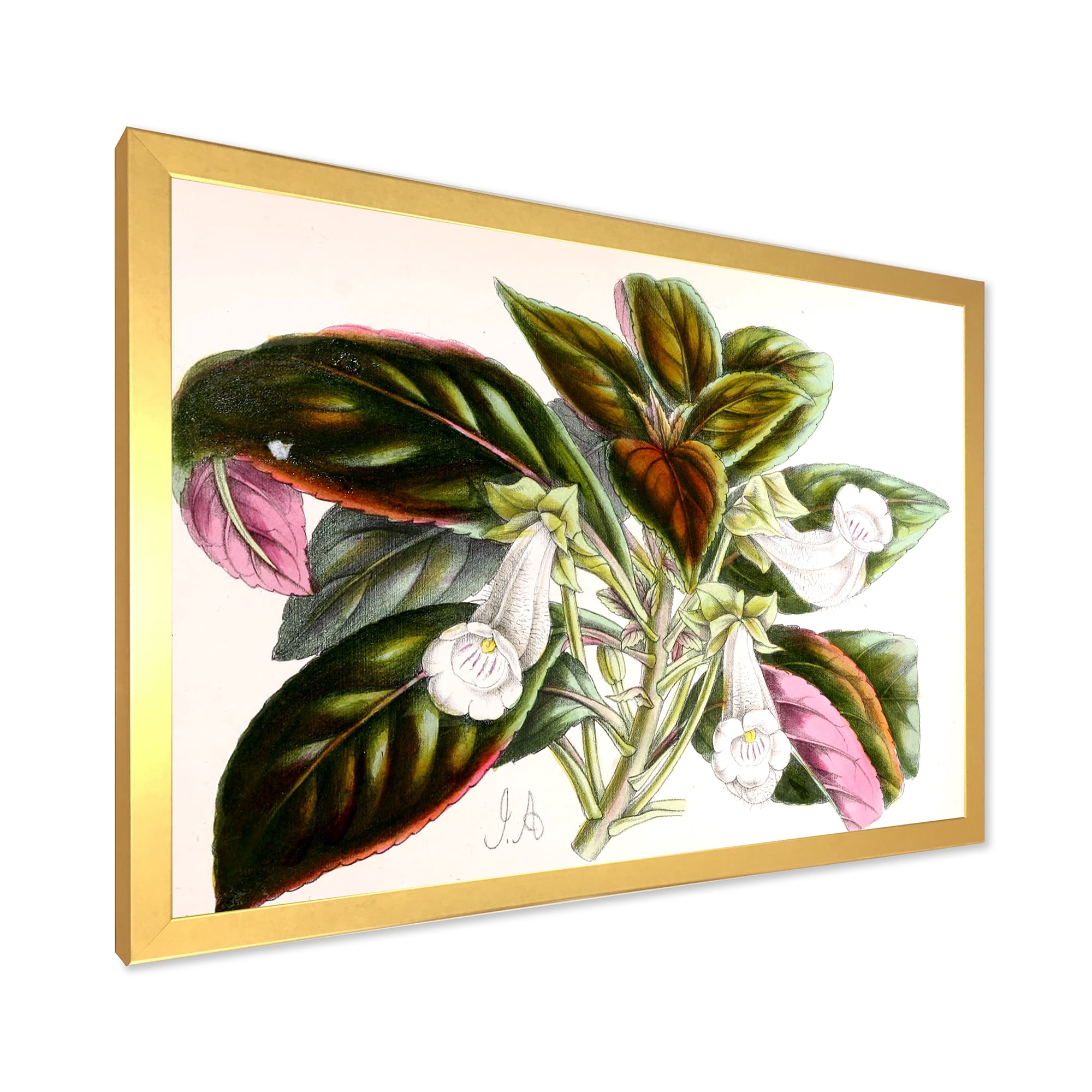 Designart 'Blossoming Vintage Flower V' Traditional Framed Art Print