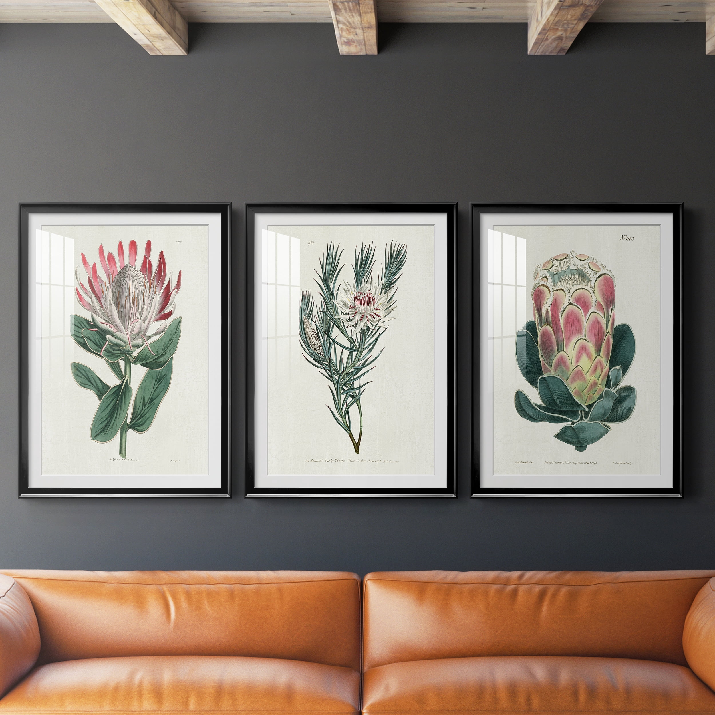 Protea N13 Premium Framed Prints Set of 3 - Ready to Hang - 26.5 x 36.5 Each - Black Frame