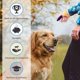 thumbnail image 5 of Silbato y clicker para adiestramiento canino, Clickers para perros, Adiestramiento con clicker, Silbato ultrasónico para perros para adiestrar y controlar los ladridos, Clicker y silbato 2 en 1, Paque, 5 of 5