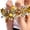 Star Dragon Ball Gol, variant on Dance Performances Wrist Bracelets Sequins Wristband Costume Accessory