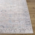 thumbnail image 2 of Livabliss Washable Rugs for Living Room, 5x7 Kemer Traditional Tan Area Rug, Bedroom Dining Room Home Decor Stain Resistant Carpet (5'3" x 7'), 2 of 7