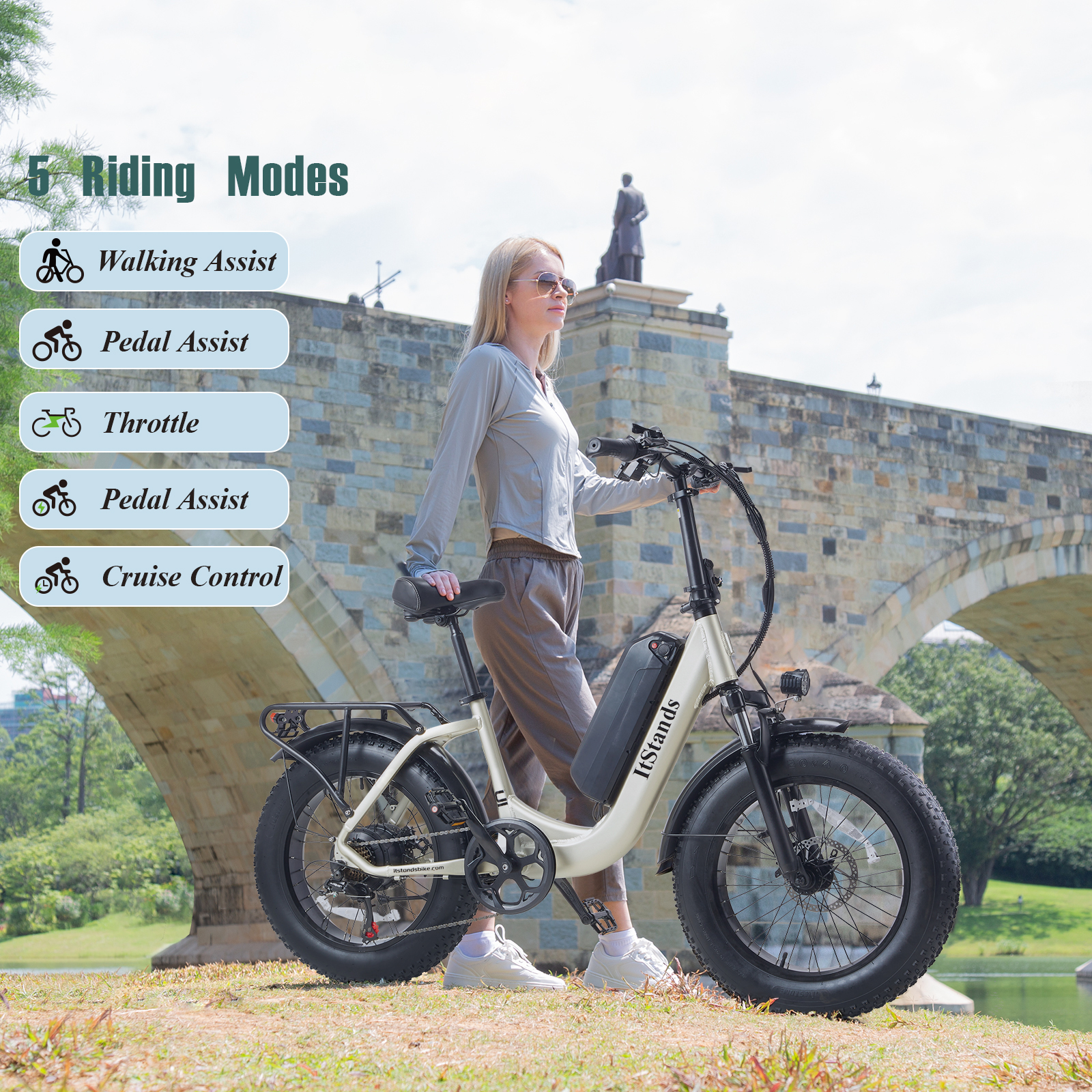 ITSTANDS Electric Bike for Adults 20'', 800W 48V 15AH UL2849 Ebike 28MPH*70Miles Full Suspension E-Montain Bike 4.0 Fat Tire 2 Seats off road Ebike & Dual Disc Brakes E-bicycle