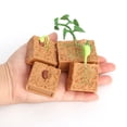 thumbnail image 3 of Simulation Insect Plastic Animal Early Growth Preschool Miniature Model Model Miniature Educational Props Cognition Toy for Children Type 9, 3 of 9