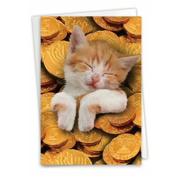 1 Funny Chanukah Card with Envelope - Cat In Gelt C3487HKG