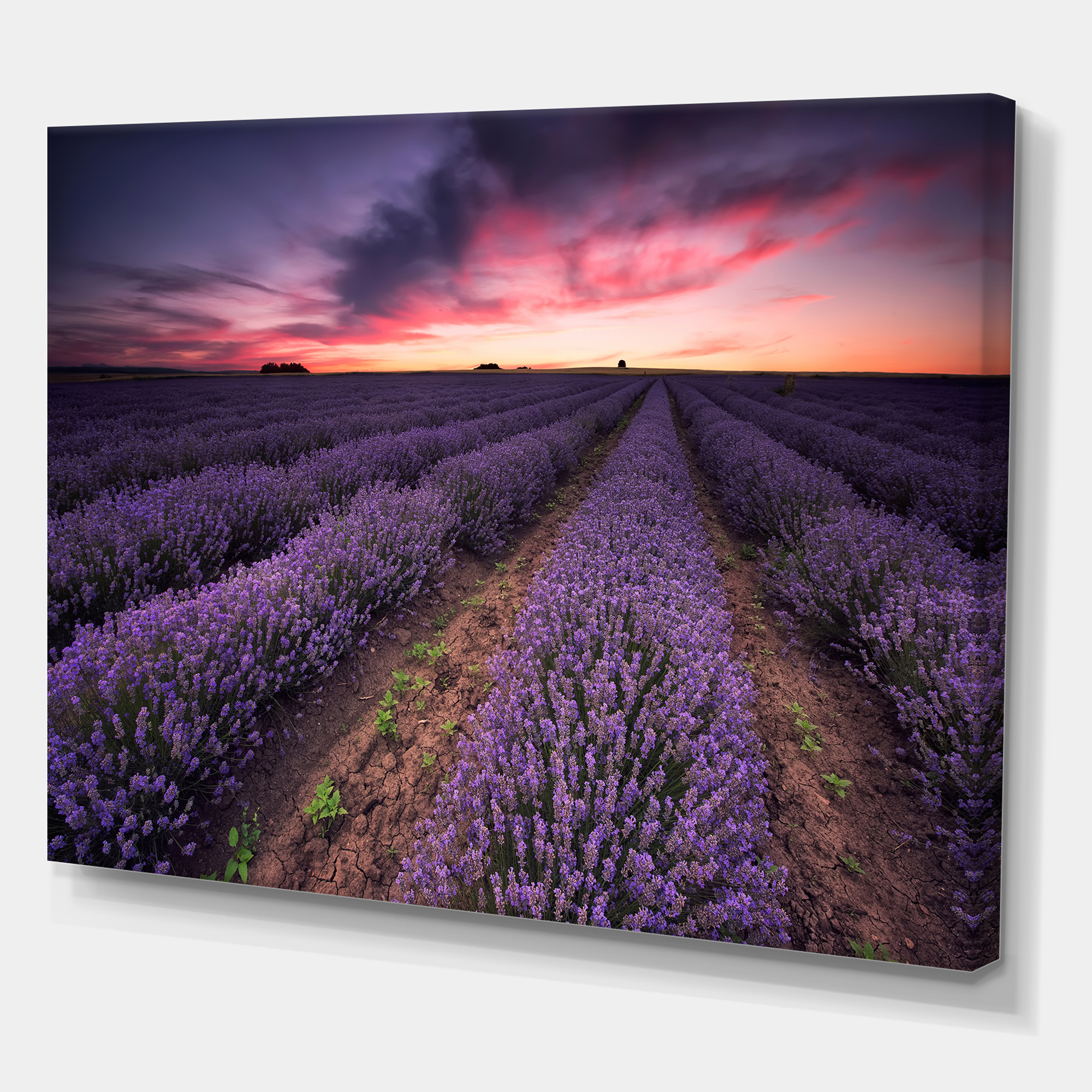 Designart ' Dramatic Clouds and Sunrise Over Lavender Field IX ' Farmhouse Canvas Wall Art Print