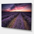 thumbnail image 3 of Designart ' Dramatic Clouds and Sunrise Over Lavender Field IX ' Farmhouse Canvas Wall Art Print, 3 of 4