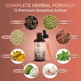 thumbnail image 3 of Para Defend Wormwood Black Walnut Cleanse for Humans - Liquid Drops with Soursop, Pumpkin Seed, Pau D'Arco, Garlic, Oregano, Berberine, Turmeric, Neem - 2 fl oz - Clean Nutra, 3 of 10