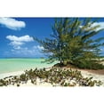 thumbnail image 3 of Malvin, Larry 18x13 Black Modern Framed Museum Art Print Titled - Sand Dollar Beach, 3 of 5