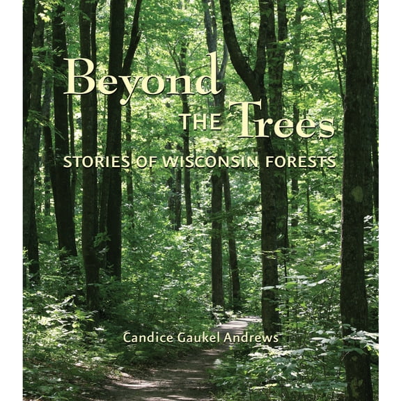 Beyond the Trees: Stories of Wisconsin Forests, (Paperback)