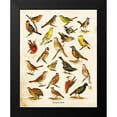 thumbnail image 2 of Babbitt, Gwendolyn 15x18 Black Modern Framed Museum Art Print Titled - Bird Chart I, 2 of 5