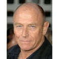 thumbnail image 2 of Corbin Bernsen At Arrivals For Harold And Kumar Escape From Guantanamo Bay Premiere Arclight Cinerama Dome Los, 2 of 2
