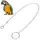 thumbnail image 1 of Cadena de pie de loro, tobillera de entrenamiento de vuelo antimordida de acero inoxidable, arnés de pájaro para loros, guacamayos, grises africanos, periquito, cacatúa, 1 of 5