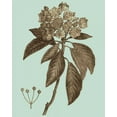 thumbnail image 2 of Vision Studio 15x18 White Modern Wood Framed Museum Art Print Titled - Flowering Trees V, 2 of 4