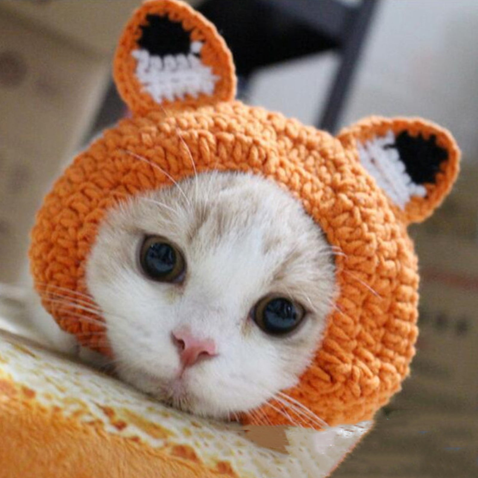 Pet Hat Hand-Knitted Cute 3D Frog Eye Decor Cat Hat Comfortable