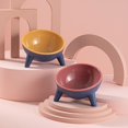 thumbnail image 5 of Monfince Raised Cat Bowls, Tilted Elevated Cat Food and Water Bowls Set, Stress Free Pet Feeder Bowl Dish for Cats and Small Dogs, Pink, 5 of 10