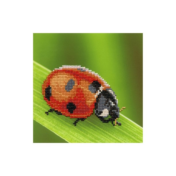 Diamond Art Kit 8"x 8" Beginner Ladybug - Walmart.com - Walmart.com