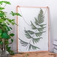 thumbnail image 2 of 8" x 10" Wall Hanging Brass Glass Artwork Certificate Photo Picture Display Frame, Ornament Plant Specimen Clip, Modern Vertical Decor Card Holder, Glass Frame Only, 2 of 4