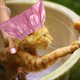 thumbnail image 4 of Gorro de ducha para mascotas - Fundas de orejas de baño reutilizables impermeables con correa ajustable que evitan que entre agua en las orejas. Gorro elástico para perros y gatos, 4 of 5