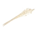 thumbnail image 1 of Centros de mesa de flores secas de 24'' Arreglo floral blanco, 1 of 9