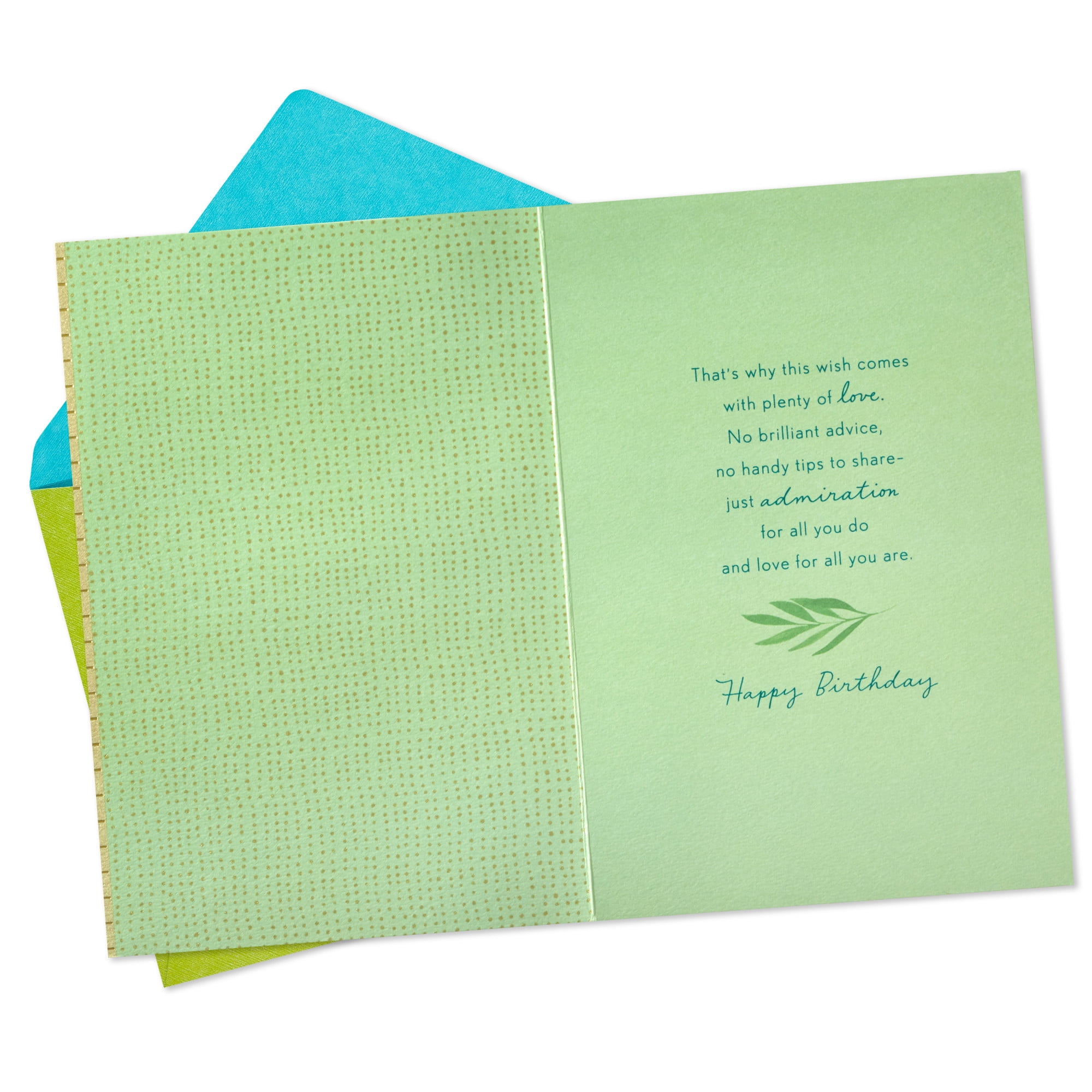 Hallmark Birthday Card for Son (Sending Love for All You Are)