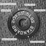 Steel Olympic Plates - 2.5lb Pair