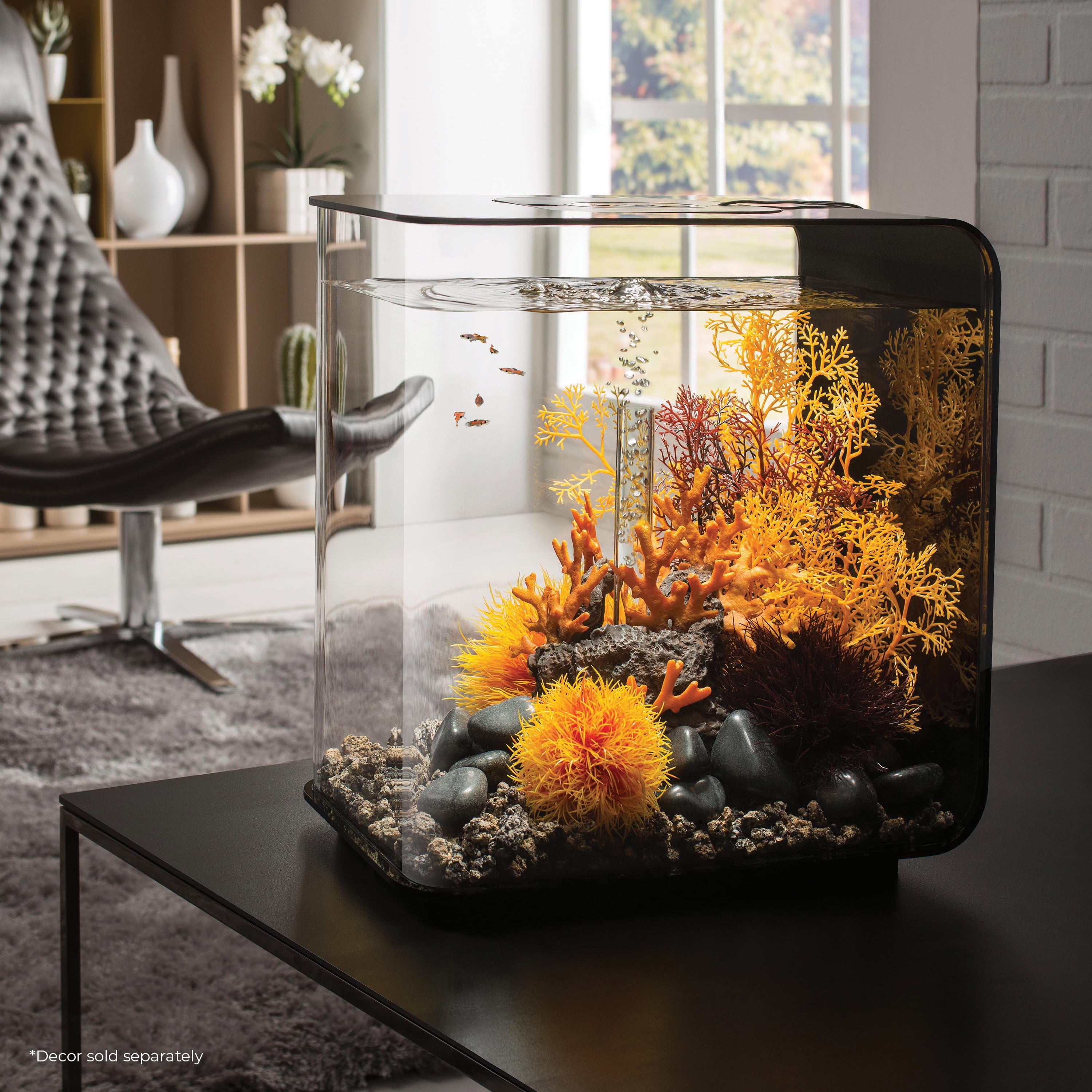 biOrb Flow 30 Aquarium With Standard Light - 8 Gallon, Black, Acrylic