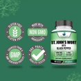 vitagen St. John’s Wort 1800mg Per Serving with Black Pepper Fruit