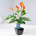 thumbnail image 3 of DPTALR 1pcs Cute Bird Shape Plant Potted Flowers Automatic Watering Plant Water Dispen, 3 of 3