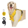 thumbnail image 1 of Pechera Arnés Reflectante Para Perros Con Correa Y Luces Led, 1 of 8