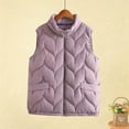 thumbnail image 2 of LSLJS Puffer Vest for Women Winter Fleece Plus Size Stand up Collar Vest Jackets Warm Casual Solid Color Outwear Coats with Pockets, 3XL-5XL, 2 of 4
