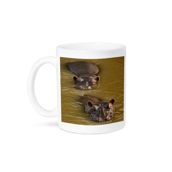 Hippopotamus In River, Masai Mara, Kenya-Af21 Aje0109 - Adam Jones, 11oz Mug