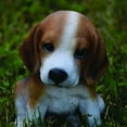 thumbnail image 2 of Hi-Line Gift Beagle Puppy 8” Sitting Garden Decorative Polyresin Figurine, 2 of 5