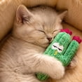 thumbnail image 5 of 5PCS Cactus Cat Toy Set, Natural Cat Herb Filled Interactive Cat Toys, Soft Durable Kitten Chew Toys for Teething & Playtime, 5 of 9