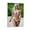 Frame-style, variant on Kim Kardashian Hot Girl Sexy Poster (21) Wall Art Poster Scroll Canvas Painting Picture Living Room Decor Home 12x18inch(30x45cm)