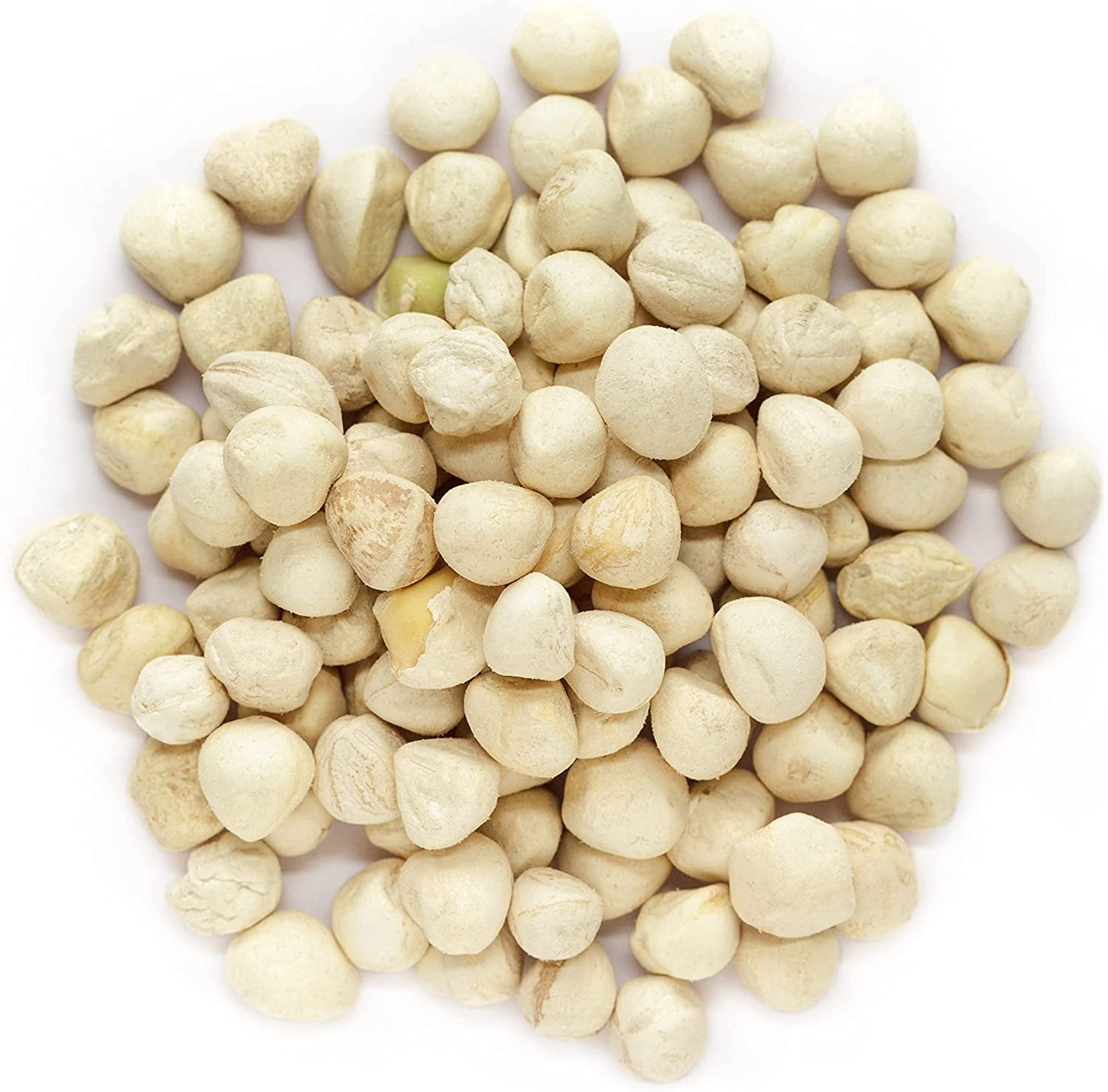 Moringa Seeds Kernel Shelled 5 lbs. Bulk - Clean PKM1 Variety - Edible - Moringa Oleifera - Malunggay - Semillas De Moringa - Drumstick Tree - Non-GMO - 10,000 to 12,000 Seeds Approx.
