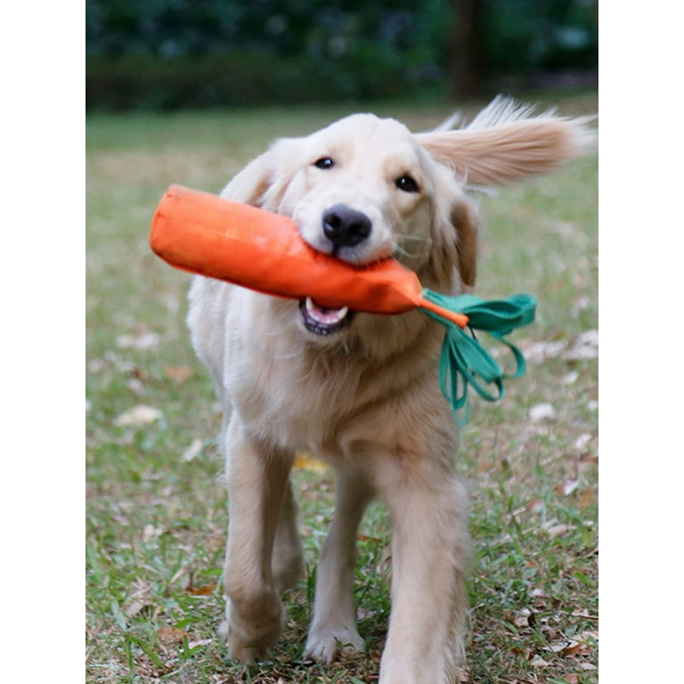 Carrot Farm Dog Chew Sniff Toys– On Pets Life