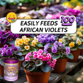 thumbnail image 3 of EarthPods® African Violet Plant Food Capsules (100 Organic Fertilizer Spikes), 3 of 5