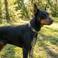 thumbnail image 4 of Mammoth Waterproof Polyester Camouflage Standard Dog Leash, Brown, 4 ft, 4 of 8