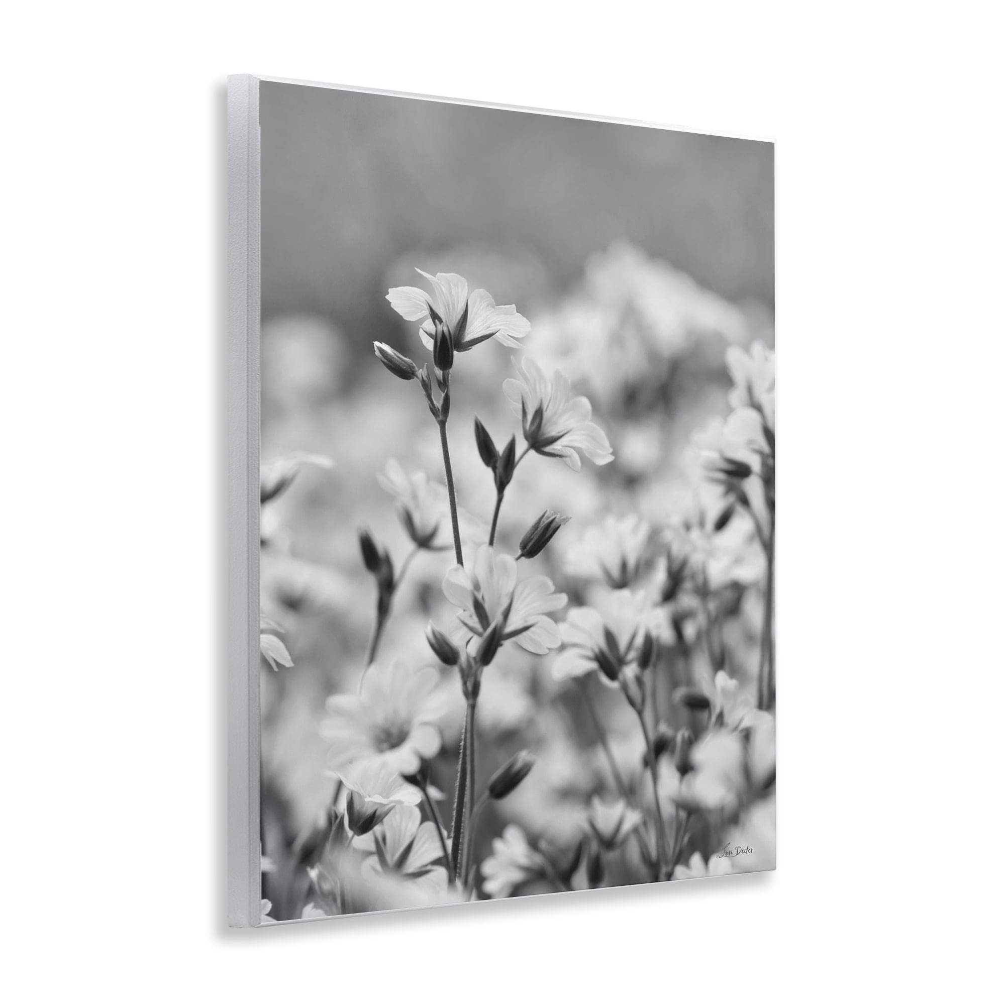 Stupell Industries Budding Meadow Flora Botanical & Floral Photography Unframed Art Print Wall Art, 11 x 14
