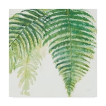 Trademark Fine Art 'Ferns III Square' Canvas Art by Chris Paschke